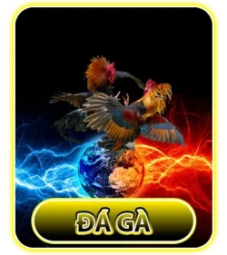 đá gà sabong67