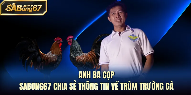 Anh Ba Cọp - Sabong67 Chia Sẻ Thông Tin Về Trùm Trường Gà