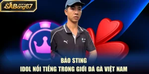 Bảo Sting - Idol Nổi Tiếng Trong Giới Đá Gà Việt Nam
