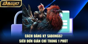 Cách Đăng Ký Sabong67 Siêu Đơn Giản Chỉ Trong 1 Phút