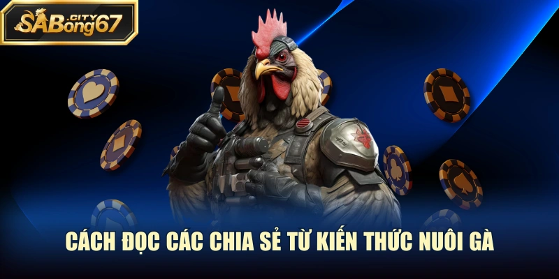 Cách đọc các chia sẻ từ kiến thức nuôi gà