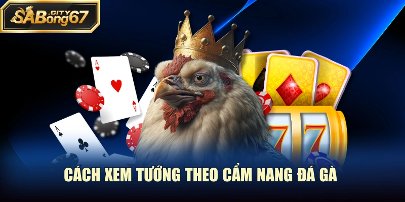 Cách xem tướng theo cẩm nang đá gà