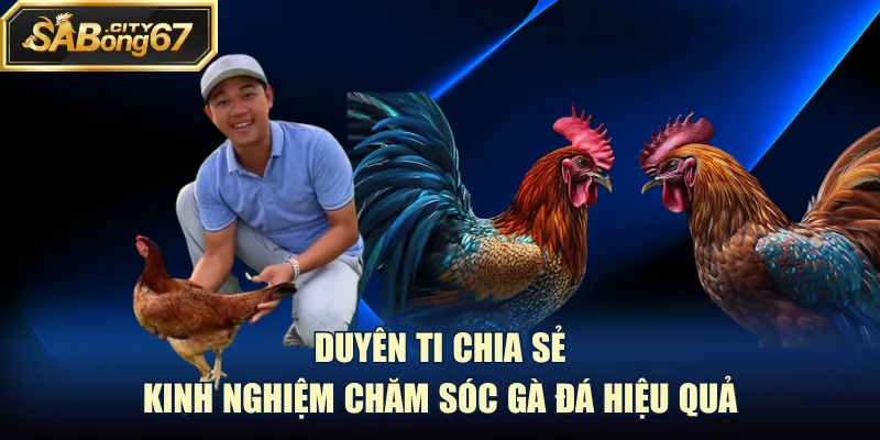Duyên Ti chia sẻ kinh nghiệm chăm sóc gà đá hiệu quả