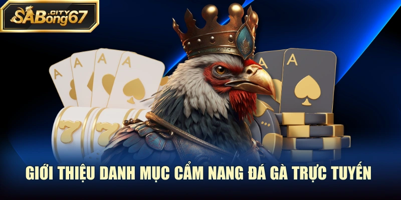 Giới thiệu danh mục cẩm nang đá gà trực tuyến