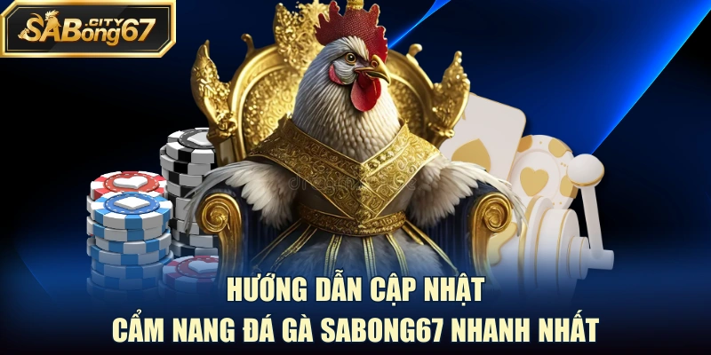 Hướng dẫn cập nhật cẩm nang đá gà Sabong67 nhanh nhất