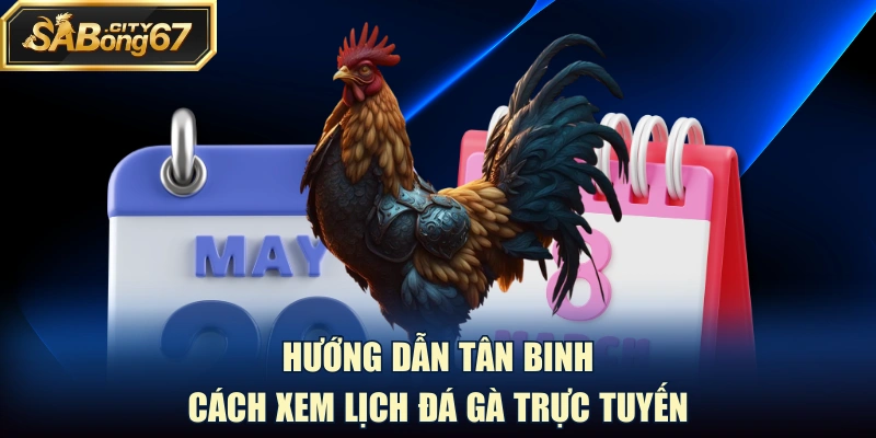 Hướng dẫn tân binh cách xem lịch đá gà trực tuyến