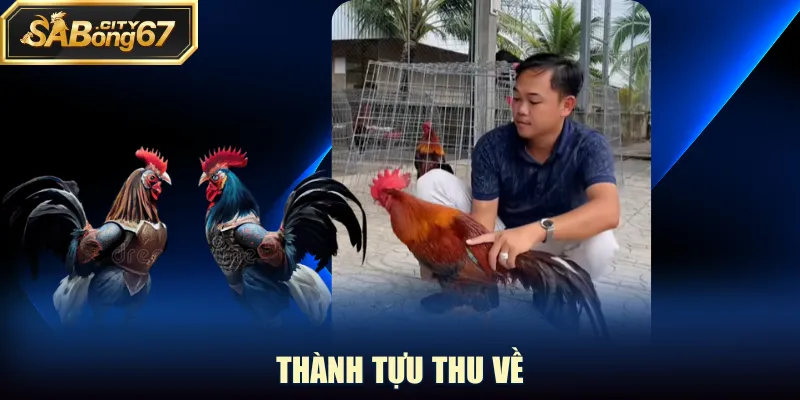 Thành tựu thu về
