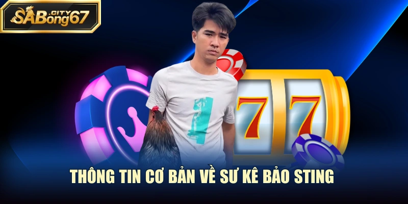 Thông tin cơ bản về sư kê Bảo Sting